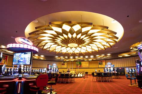 bavaro betting|casino bavaro.